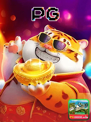 Jogadores se divertindo em cassino online premium